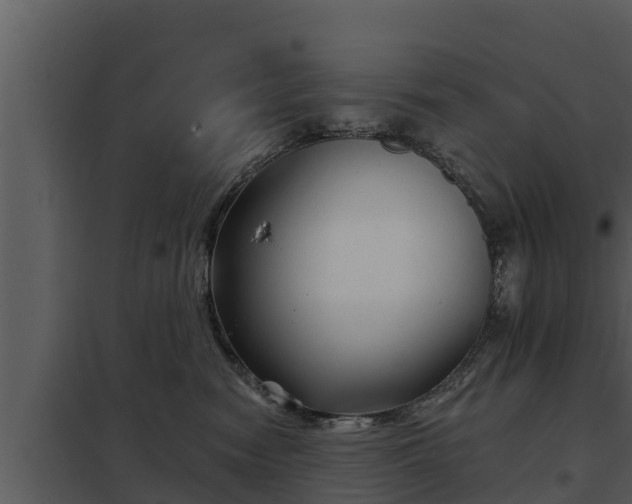 X0000097950474200804011639