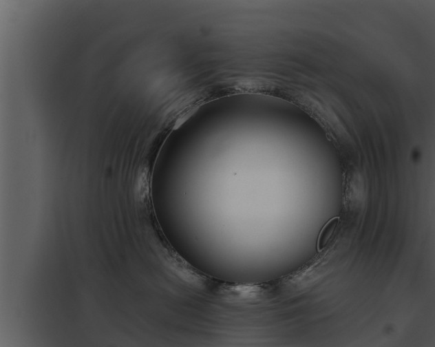 X0000097950478200804011639