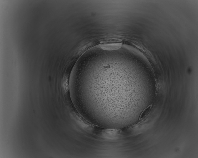 X0000097950479200804011639