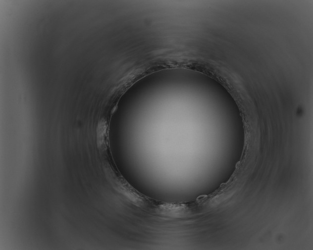 X0000097950480200804011639