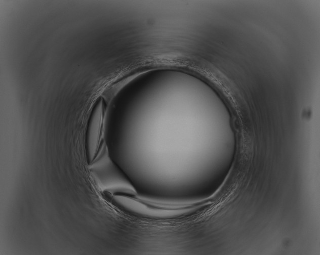X0000097950481200804011638