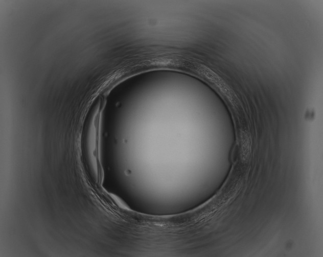 X0000097950482200804011638