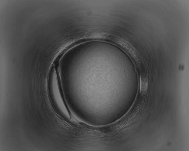 X0000097950483200804011638
