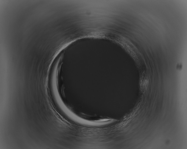 X0000097950484200804011638