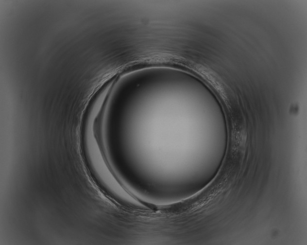 X0000097950485200804011638