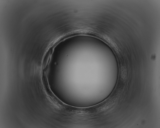 X0000097950486200804011638