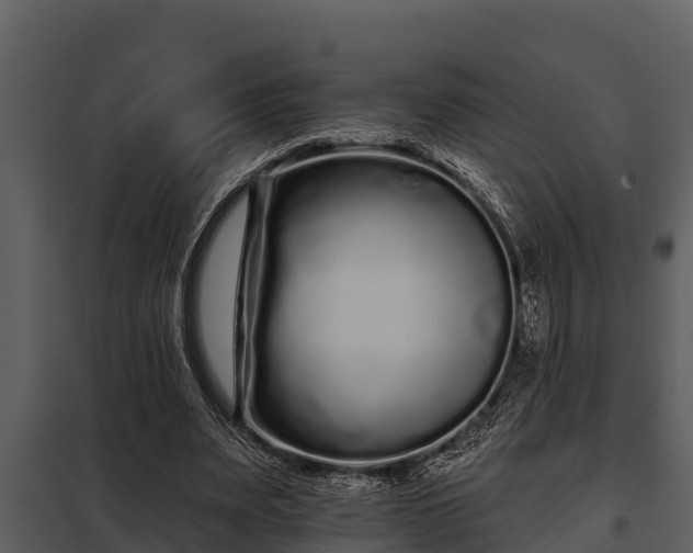 X0000097950487200804011638