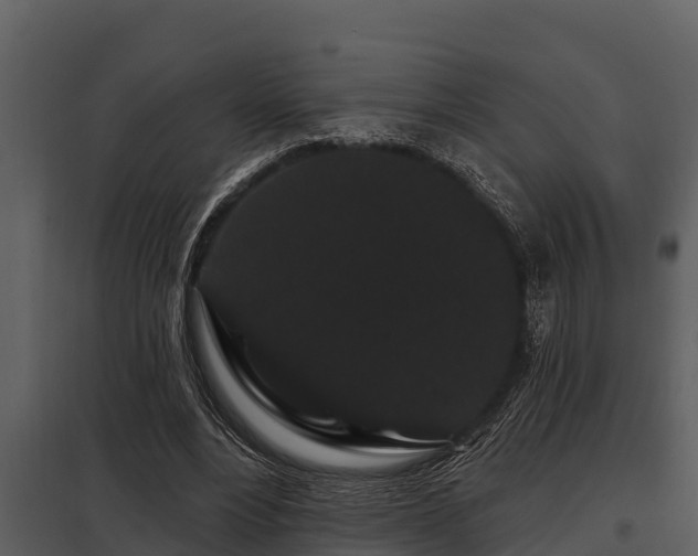 X0000097950488200804011638