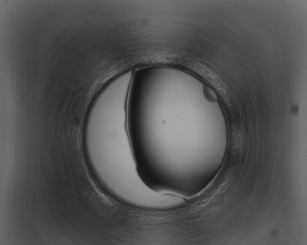 X0000097950489200804011638