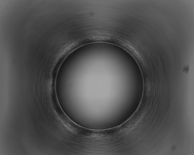 X0000097950490200804011638