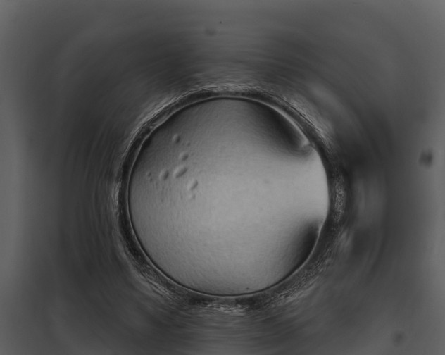 X0000097950491200804011638