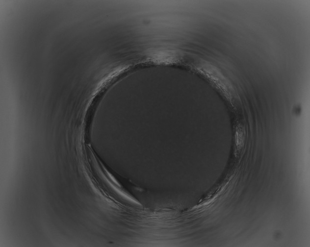 X0000097950492200804011638
