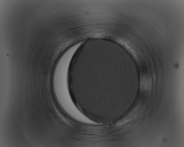 X0000097950493200804011638