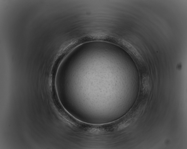 X0000097950494200804011638