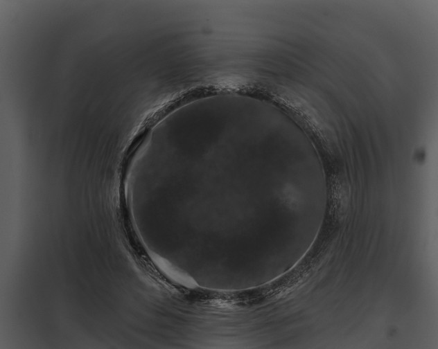 X0000097950496200804011638