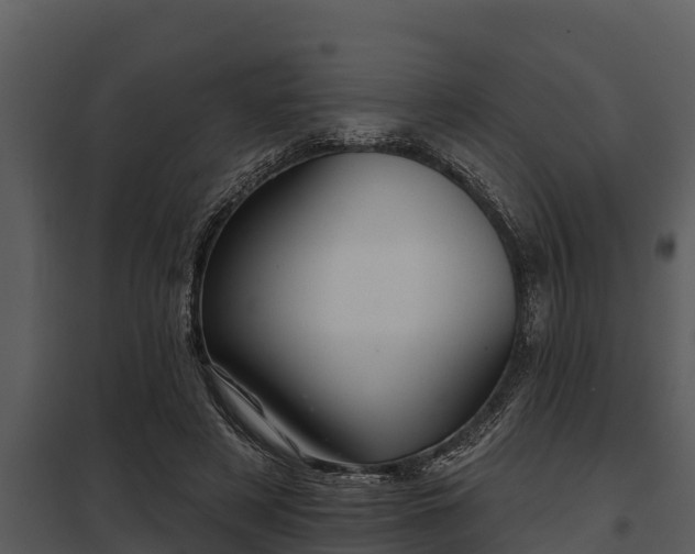 X0000097950497200804011638
