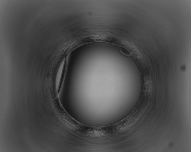X0000097950498200804011638