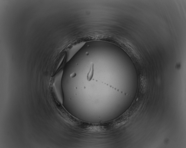 X0000097950499200804011638