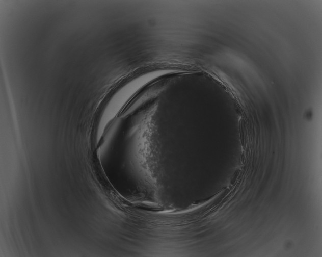 X0000097950500200804011638