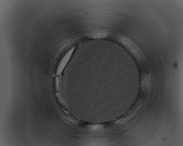 X0000097950501200804011638