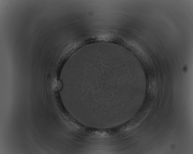 X0000097950502200804011638