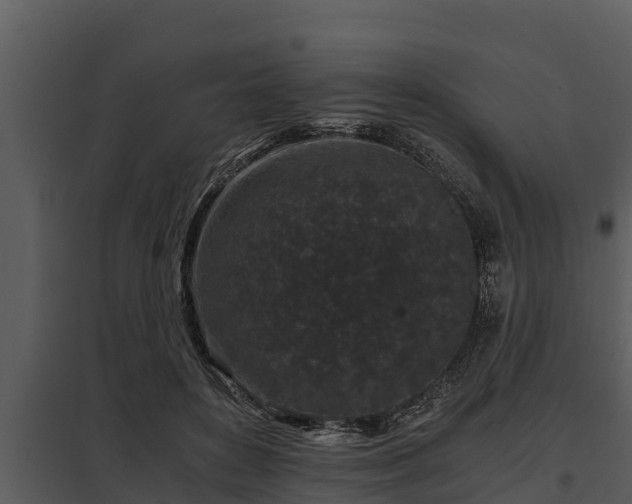 X0000097950504200804011638