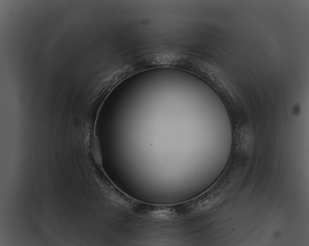X0000097950505200804011638