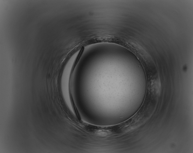 X0000097950508200804011638