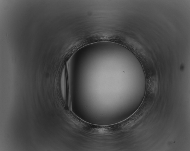 X0000097950509200804011638