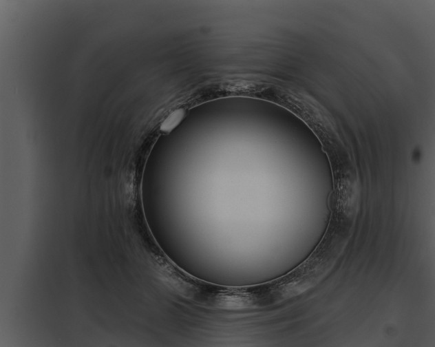 X0000097950510200804011638