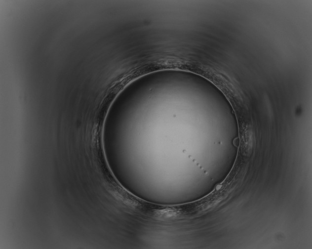 X0000097950511200804011638