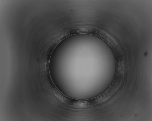 X0000097950514200804011638
