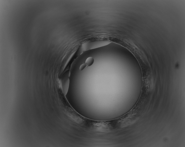 X0000097950516200804011638