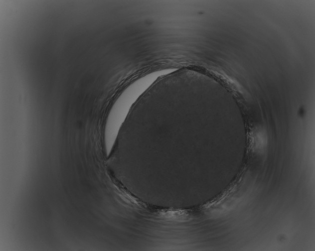 X0000097950517200804011638
