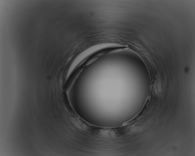 X0000097950520200804011638