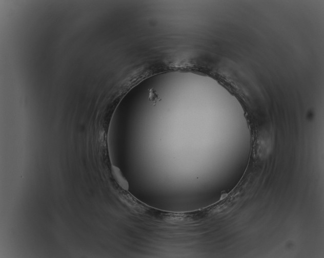 X0000097950521200804011638