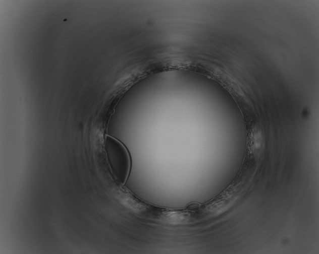 X0000097950522200804011638