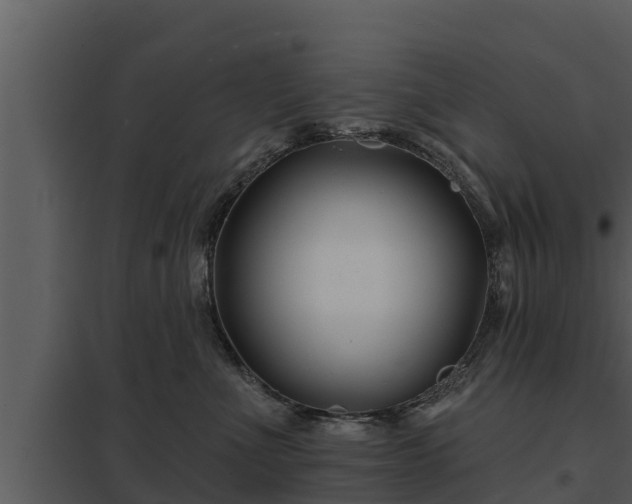 X0000097950523200804011637