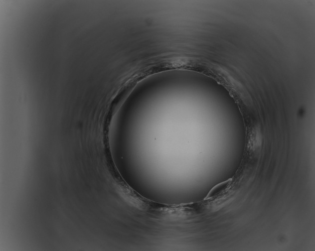 X0000097950524200804011637