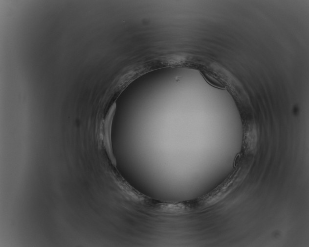 X0000097950525200804011637