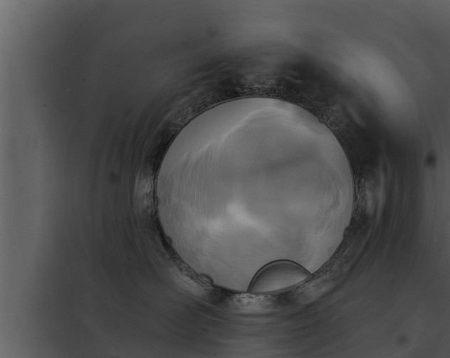 X0000097950526200804011637