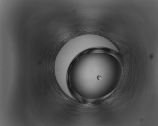 X0000097950528200804011637