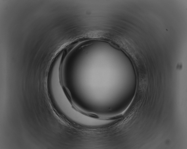 X0000097950530200804011637