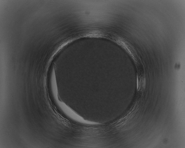 X0000097950531200804011637