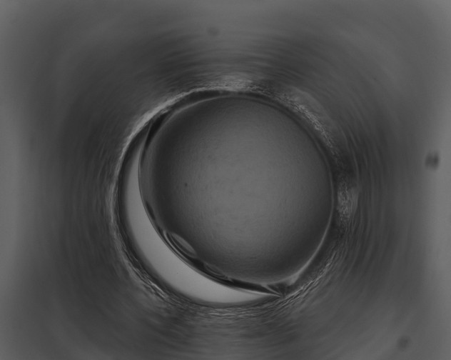 X0000097950532200804011637