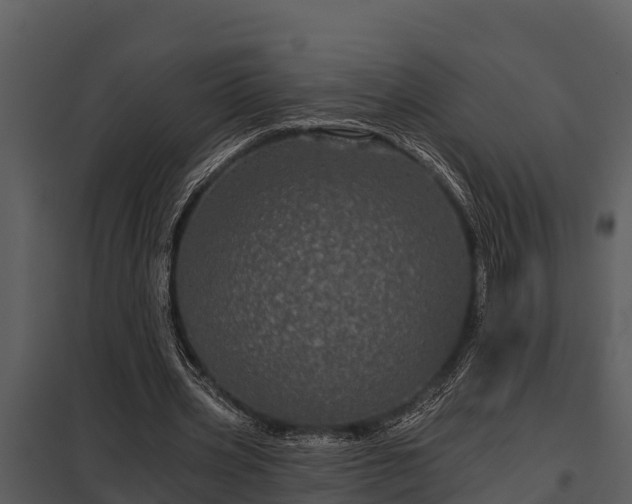 X0000097950533200804011637