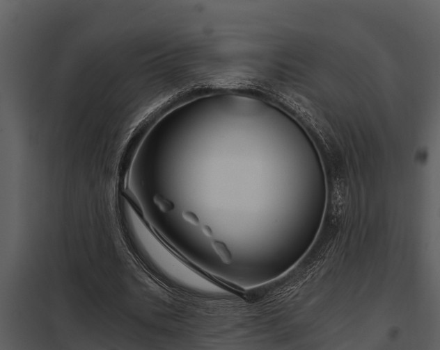 X0000097950535200804011637
