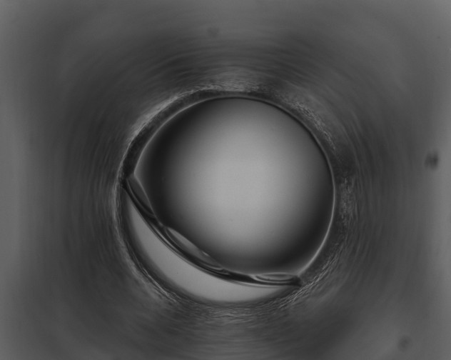 X0000097950536200804011637