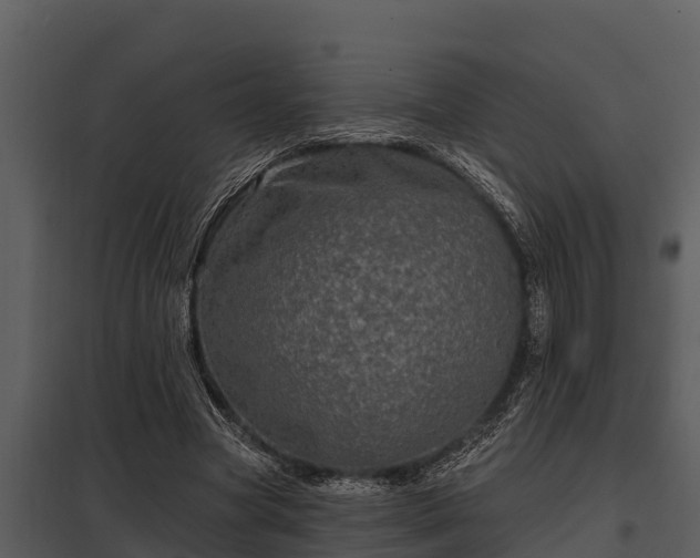 X0000097950537200804011637