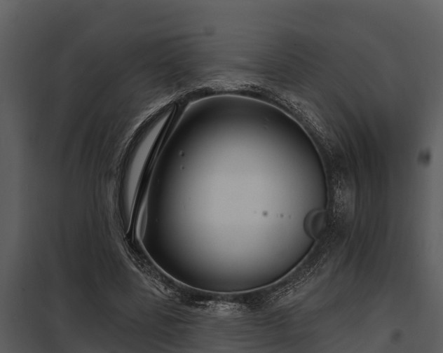 X0000097950539200804011637